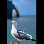 Des Peintres 埃特勒塔