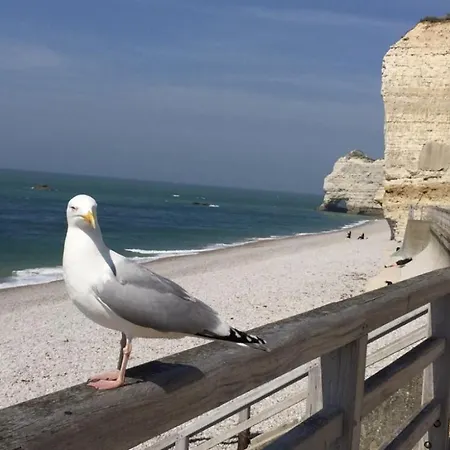 Des Peintres 3* Étretat