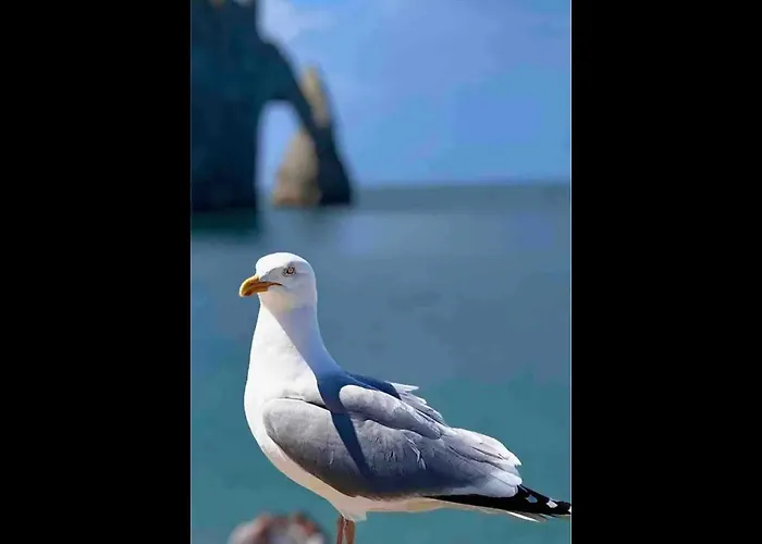 Des Peintres Etretat