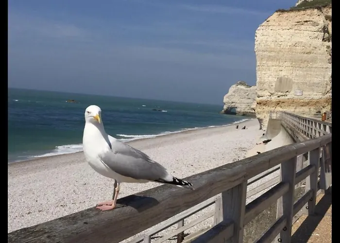 Des Peintres 3* Etretat